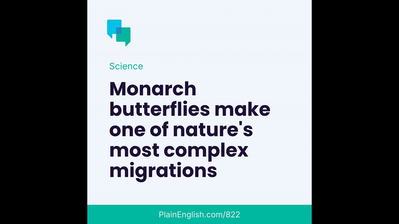 The world’s biggest butterfly migration