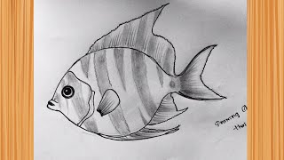 How to Drawing Fish image,pencil sketch drawing,sketch drawing,girl drawing,face drawing,drawing cha