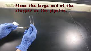 Cellular Respiration: Experimental Setup