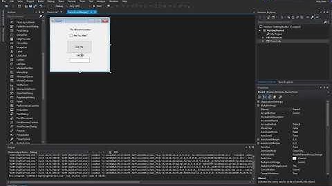 VB103 - VB.NET Objects in Windows Form