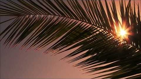 2nd Shift   Something Else