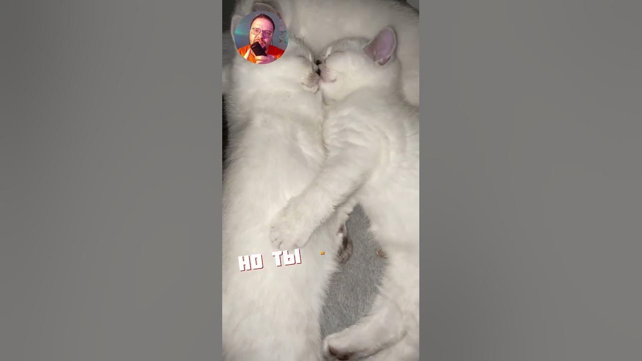 Это могли бы быть мы с тобой но ты не пишешь! #дедкрафт Хорошие новости ...