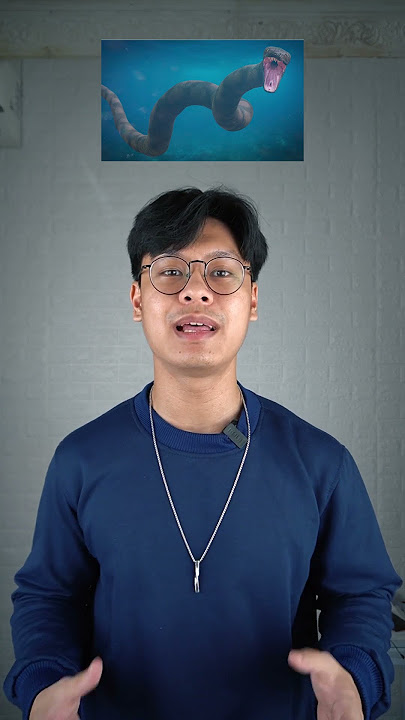 3 Hewan Selamat Dari Kepunahan Dino