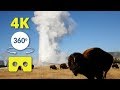 Old Faithful, Yellowstone VR Experience 360 4K