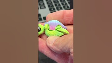 6 17 25 Turtle Time Lapse! #MV3D #timelapse  #3dprint  #turtle   #satisfyingvideo  #fidgettoys