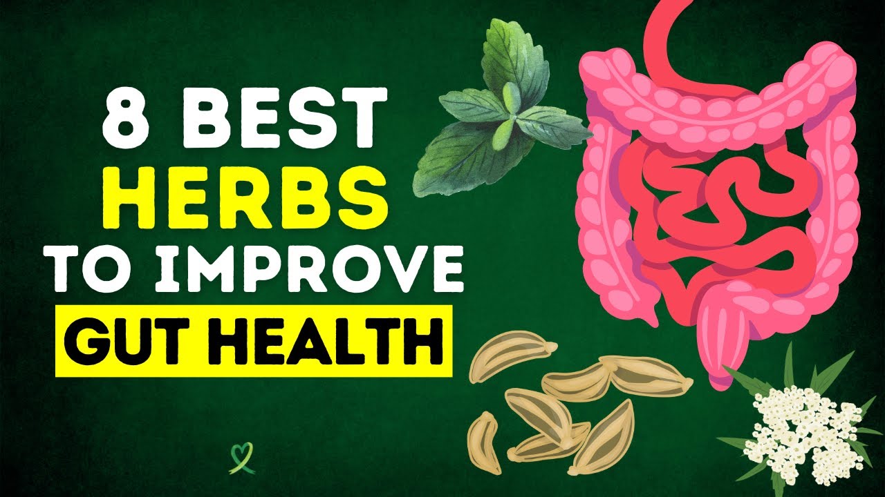 8 Best Herbs To Improve Gut Health - YouTube