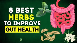 8 Best Herbs To Improve Gut Health by MLC 14,491 views 4 months ago 13 minutes, 42 seconds