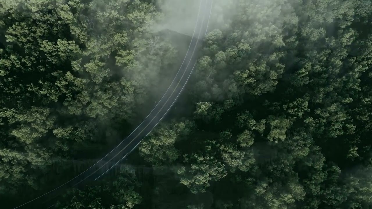 Just Let It Play 🌿 Nature Music Journey (35 Minutes).