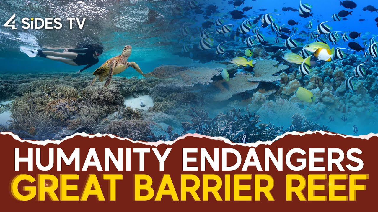 Humanity Endangers Great Barrier Reef | Climate Change | Global Warming ...