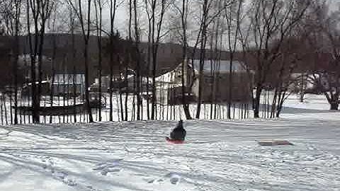 Jill and Avy Bobsled Team