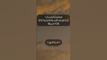 سورة الأنبياء الآية ٧١ الى ٧٣ بصوت الشيخ محمد صديق المنشاوي