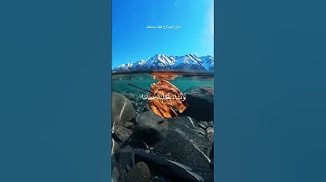 قران كريم ارح قلبك وسمعك #quran #قران #اكسبلور #duet #لايك #دويتو #ترند #سلمان_العتيبي