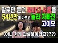 말로만 듣던 불바다 서울을 54년만에 가보고 놀라 자빠진 고이모 ( 아니 저게 관상용이라고???)