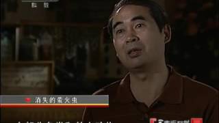 CCTV10 消失的萤火虫 走近科学
