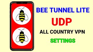 How to set up Bee Tunnel Lite with UDP All country settings for fast and secure browsing  screenshot 4