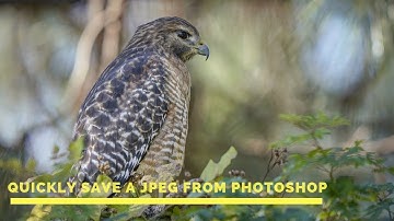 Quick way to save a JPEG from Photoshop