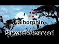 NaihorphinSlowed+reversedll Kamal Lochan & Fuji Basumatary II Naihorphin Mp3 Song