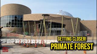Countdown to Primate Forest! | Construction Update #1