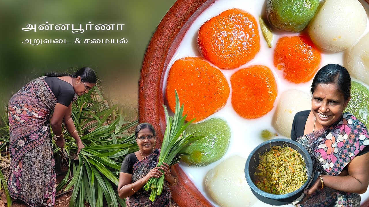 பந்தன் அறுவடை💚☘️ & ரம்பை அரிசி உருண்டை🤤 | FARM COOKING | PODHIGAI THOTTAM