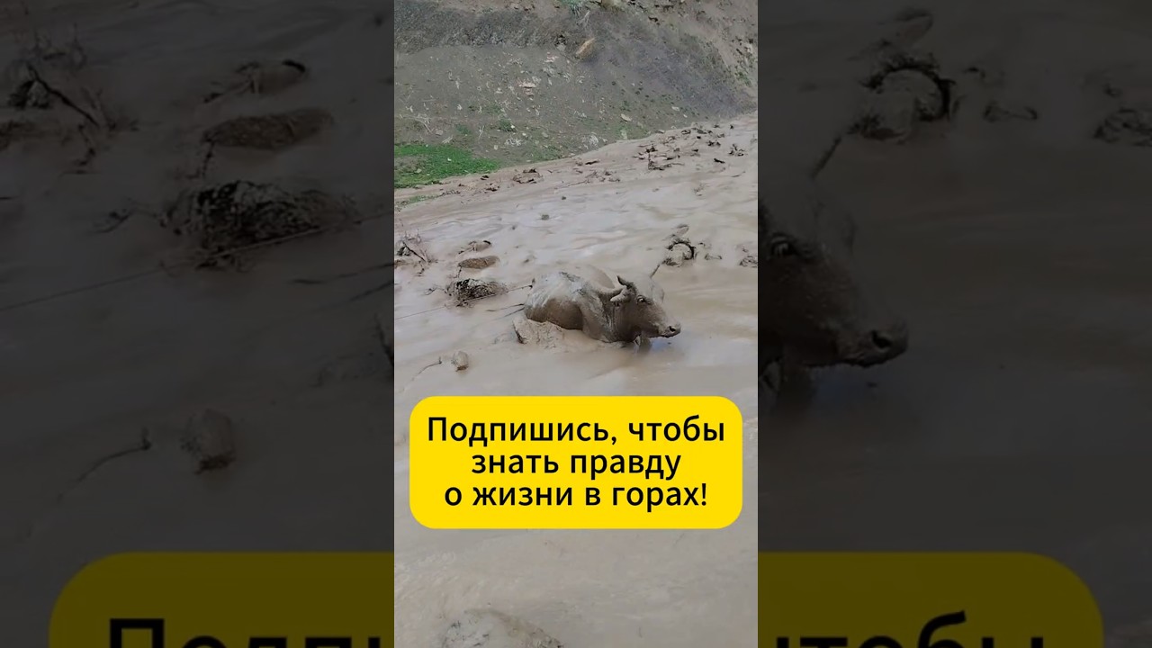 Смертельная опасность в ясную погоду ⚠️