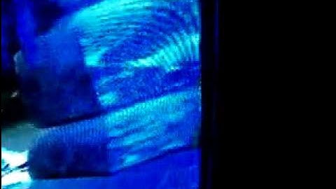 Crash Bandicoot: The Wrath of Cortex - Warp Room sound glitch