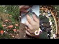Fairycore And Goblincore рџ љрџЌ Tiktok Compilation Fairycore And Goblincore рџ љрџЌ Tiktok Compilation