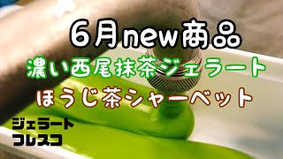 【抹茶】西尾抹茶&ほうじ茶シャーベット販売中！