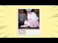 The PenGon Animation March 2025 Compilation 😸