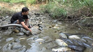 Top video fishing: fishing techniques - catching a lot of fish - survival skills