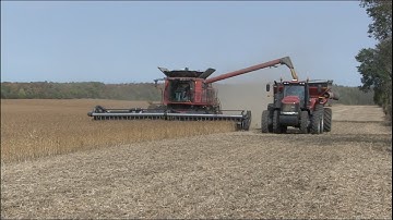 Soil School: How big crop yields impact soil nutrients