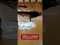 Медик показала жильё, от которого волосы встают дыбом! Полы сгнили, а люди продолжают там жить
