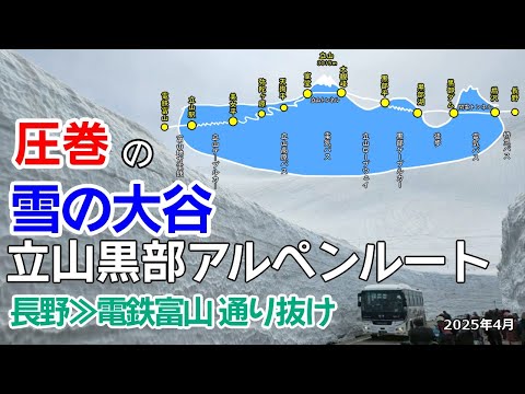 【雪の大谷】はじめての立山黒部アルペンルート通り抜け≪長野～富山≫