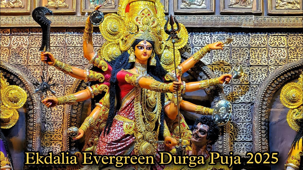 Ekdalia Evergreen