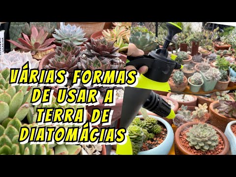 Vídeo: Puc comprar terra de diatomeas a Lowes?