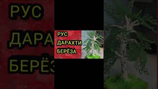 УЙ БЕКАСИ КАНАЛИ