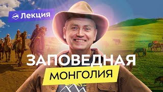 видео: Путешествуем по Монголии: пыльные бури, пустыня Гоби, затерянные города картинка: Путешествуем по Монголии: пыльные бури, пустыня Гоби, затерянные города