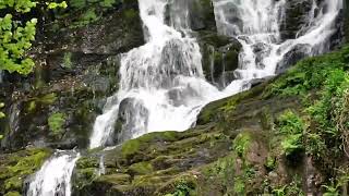 Relaxing Celtic music  Relax Mind Body Cleanse Anxiety, Stress \& Toxins  Beautiful ambient music