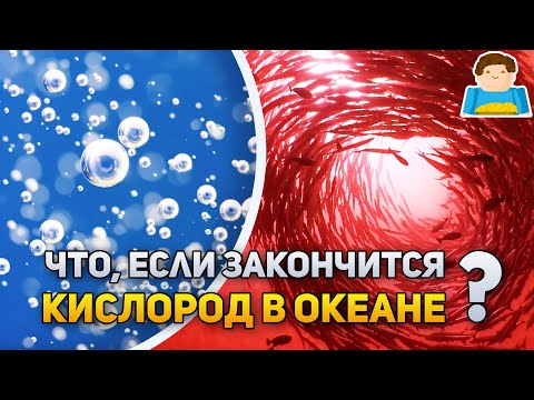 Что, если закончится кислород в океане? | Plushkin