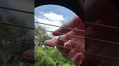 クプラさんの歌うアイのシナリオがあったのでプレイしてみたw Youtube