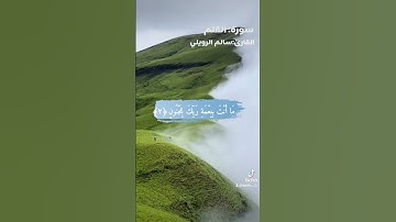سورة القلم #قرآن #سالم_الرويلي #اسلام_صبحي #ماهر_المعيقلي #تلاوات