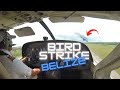 Bird Strike - Cessna 208 Caravan - Cockpit view - Maya Island Air Belize BZE to TZA [Full flight HD]