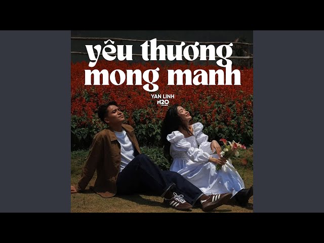 Yêu Thương Mong Manh (Lofi)