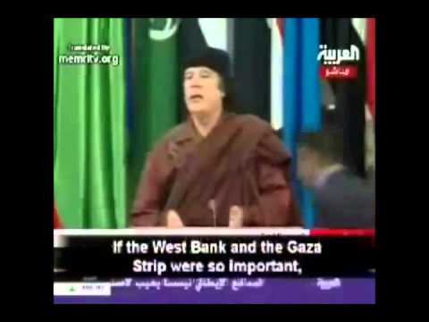 Palestinians and Israelis are both Stupid