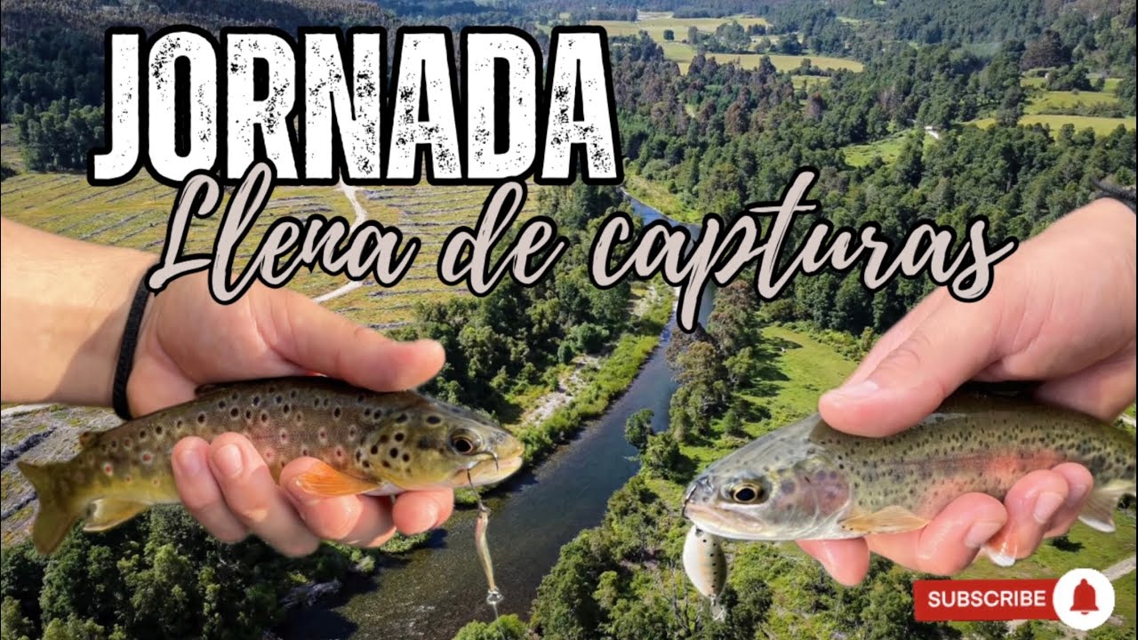 PIQUE TRAS PIQUE 🤯- JORNADA DE TRUCHAS CON EQUIPO UL - sur de chile🇨🇱#fishing #fish