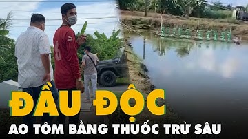 Tạm giữ hình sự nam thanh niên đầu độc ao tôm bằng thuốc trừ sâu ở Bạc Liêu
