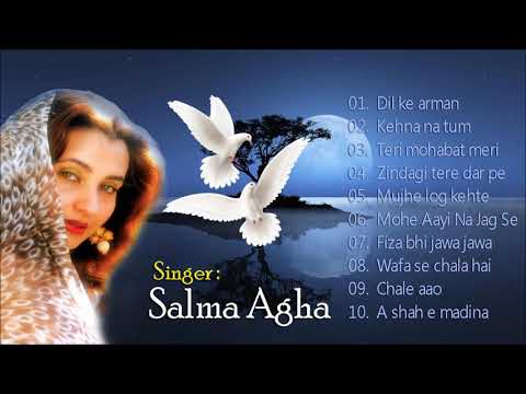 Best Of Salma Agha | सलमा आगा के सदाबहार गीत | Mohammad Aziz, Salma Agha