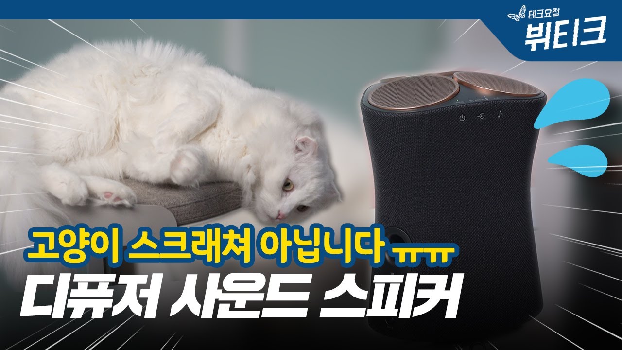 고급진 음악 있는 힐링 공간 만들기! 디퓨저 사운드 무선 스피커 SRS-RA5000 개봉기 및 청음 후기