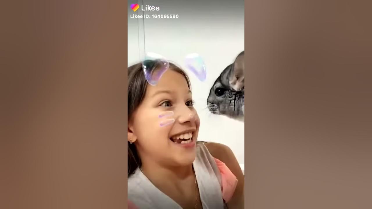 Вайбер Вики шоу