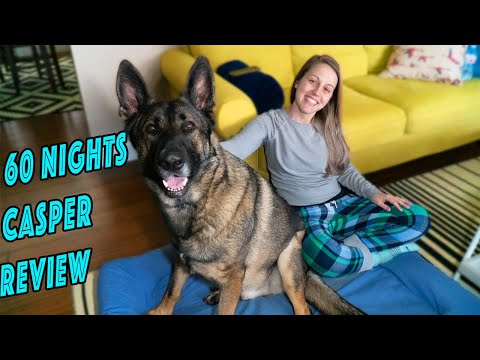 best-dog-bed!-60-night-casper-dog-bed-review-with-our-two-german-shepherds-enzo-and-lotus.