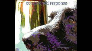 Pavlov's Dogs - Lies in the Dark